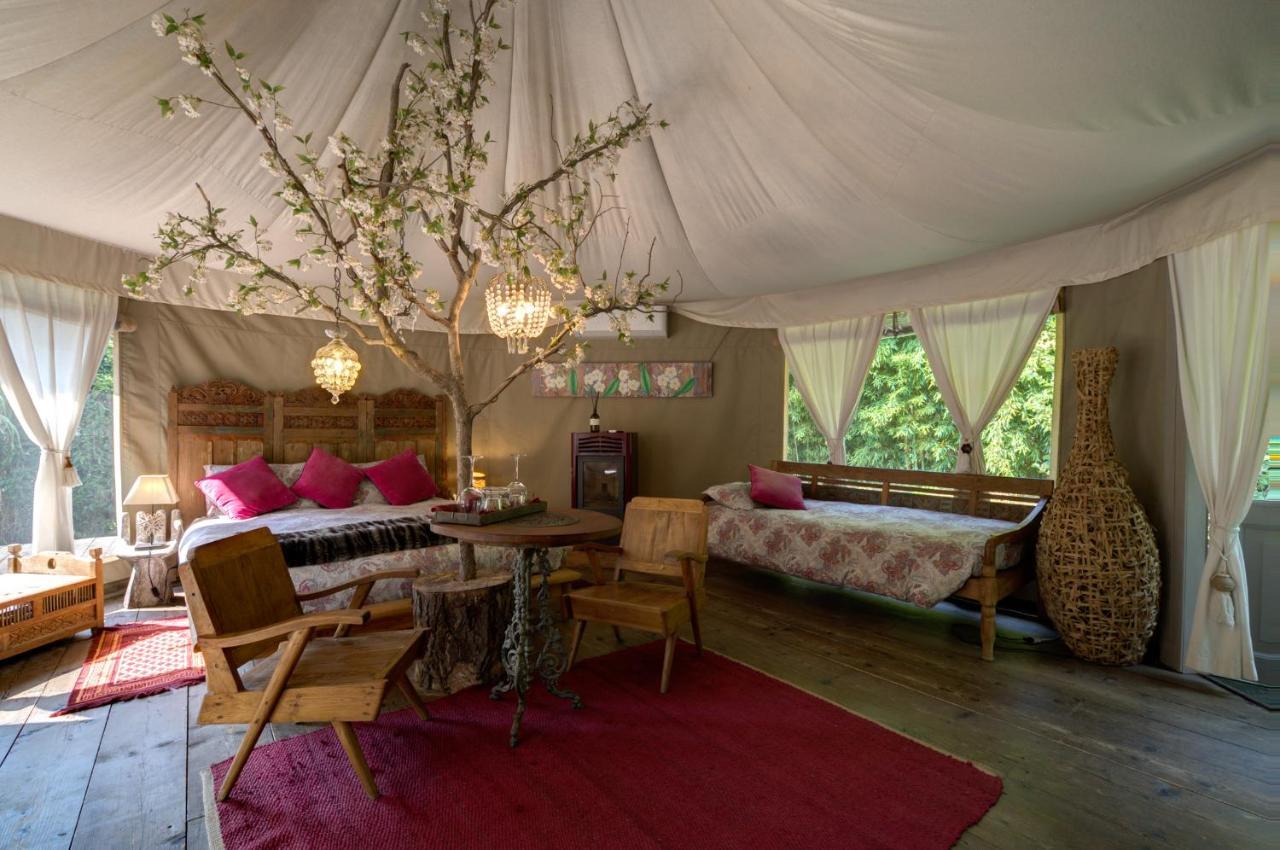 Glamping Canonici Di San Marco Мирано Экстерьер фото